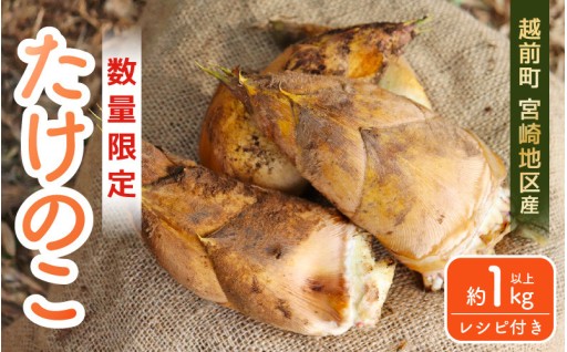 【採れたて✨】産地直送！甘くて柔らかい！旬の味覚