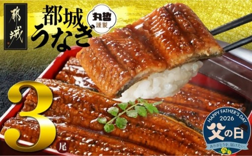 都城市より～【父の日】宮崎県育ちのうなぎ蒲焼3尾500g以上≪山椒・たれ付≫