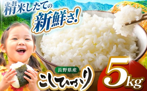 令和7年産 JA上伊那 コシヒカリ 今ずり米 5kg