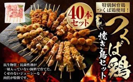 つくば鶏 焼き鳥セット 40本