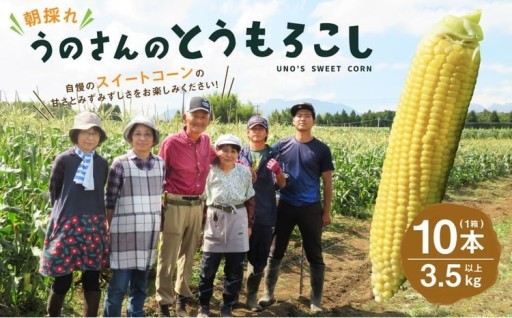 【卯野農場】産地直送！生でも美味しい 朝採れ スイートコーン 10本 3.5kg以上