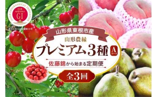 【山形県東根市】🍒さくらんぼ佐藤錦🍒から始まるフルーツ3種定期便！