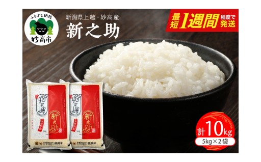 新之助＼最短発送／が選べるようになりました✨