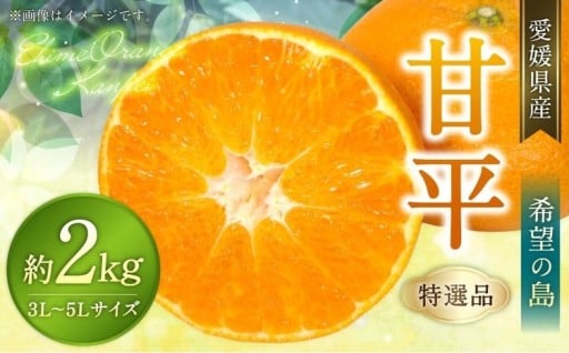 【希望の島】 甘平 特選品 大玉 2kg