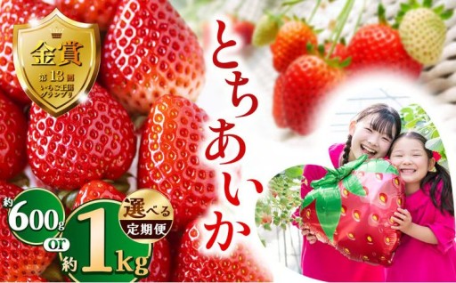 ご褒美いちご【とちあいか】　まだまだ旬です🍓