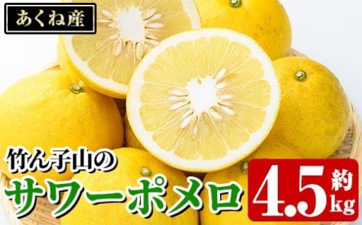 竹ん子山のサワーポメロ(約4.5kg)