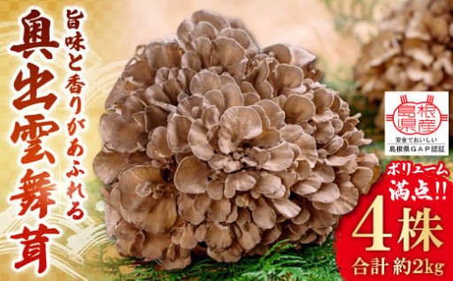 ✨肉厚でジューシー！ボリュームたっぷり！旨味と香りがあふれる奥出雲舞茸4株（約2ｋｇ）✨