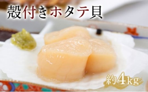 【事前予約：Ｒ８年５月下旬より順次発送】遠別産殻付きホタテ貝（約３～４ｋｇ）