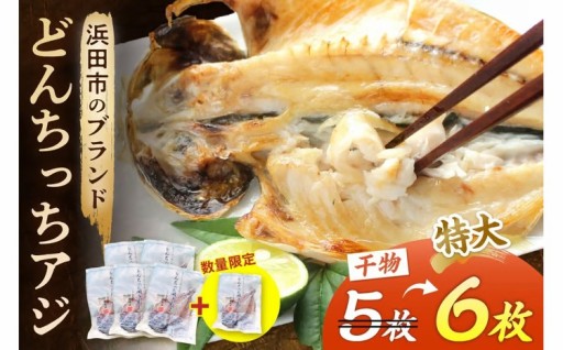 脂質含有量13％以上！🐟どんちっちアジ🐟