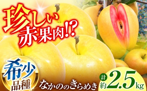 赤果肉りんご なかののきらめき 約2.5kg