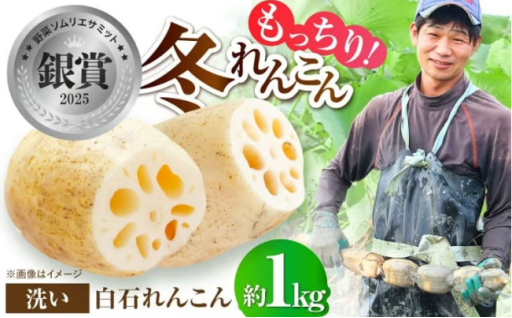 【究極のこだわり栽培！】銀賞受賞れんこん