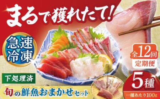 魚の聖地長崎県五島列島の旬の魚を厳選！