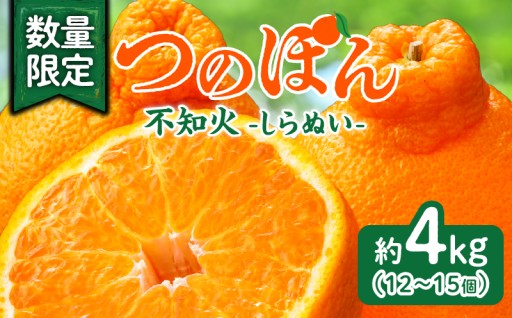 【宮崎県都農町】いよいよ出荷開始📢不知火(つのぽん)約4kg🍊