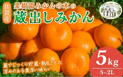 果樹園みかんの木の蔵出しみかん 5kg