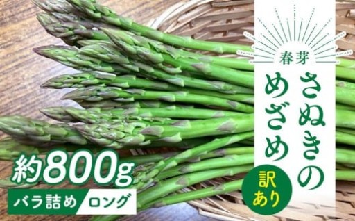 【2月下旬頃～発送】訳あり 規格外 さぬきのめざめ ロング 約800g 春芽