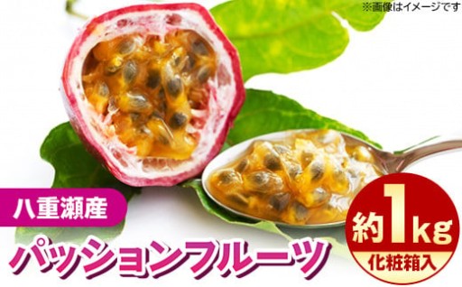 【化粧箱入】わらやーファーム パッションフルーツ約1kg【2026年発送】