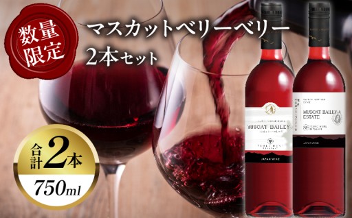 【宮崎県都農町】🚨数量限定🚨マスカットベリーベリー2本セット🍷