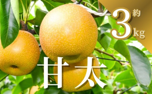 【先行予約受付中】旬の甘田梨をご自宅で贅沢に