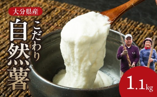 【期間限定4/30まで！】こだわり自然薯🌱