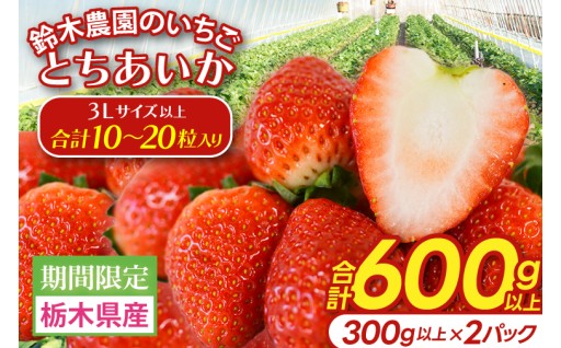 【3Lサイズ以上】いちご とちあいか 600g以上