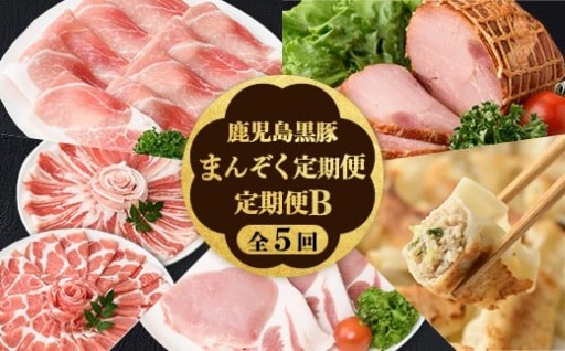 ＜定期便・全5回＞かごしま黒豚まんぞく定期便B