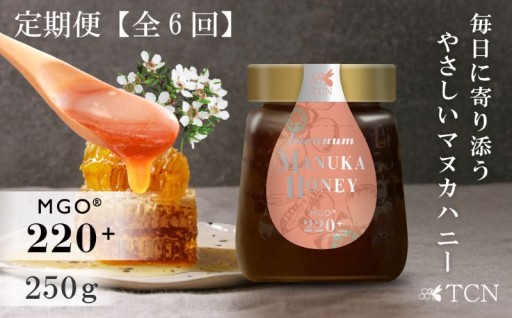 🚚定期便全６回🚚マヌカハニー MGO220+ 250g インカナムマヌカハニー🍯