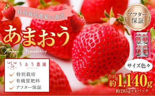 【特別栽培/有機質肥料/アフター保証】うるう農園 あまおう サイズ色々 4パック （約1140g）
