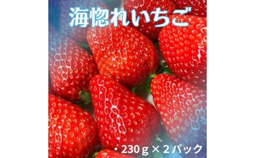 眞田農園のいちご