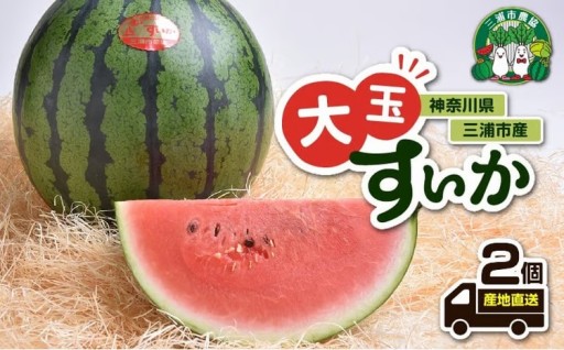 神奈川県三浦市産大玉すいか（2個）ご紹介🍉✨🍉