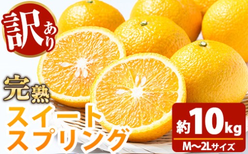 希少！樹上完熟 スイートスプリング 10kg