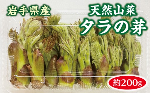 【先行予約】 天然 山菜 タラの芽 200g