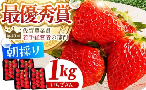 佐賀ブランドいちご「いちごさん」