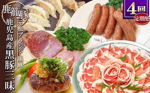 【仕送り】鹿児島県産黒豚三昧 定期便 全4回 EE0-0005【おすすめ!!】