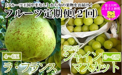 【フルーツ定期便】【訳あり】シャインマスカット（３～６房・１．８～２ｋｇ）＆ラ・フランス（４～６玉・２ｋｇ） 