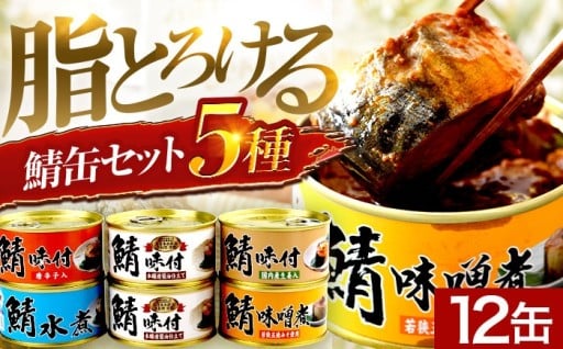 ＼ランキング第2位獲得／【5種食べ比べ】鯖缶詰12缶詰め合わせ