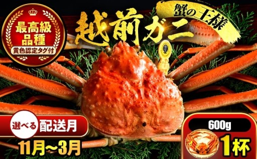 ＼今季の終了、迫る／【ボイル冷蔵】本場・越前がに 1kg