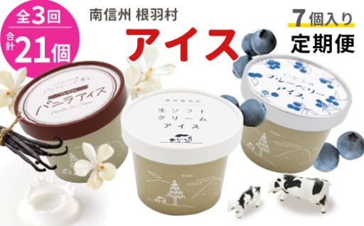 翌月より発送！3種類のアイス定期便