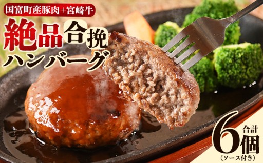 ＜絶品合挽ハンバーグ 6個＞