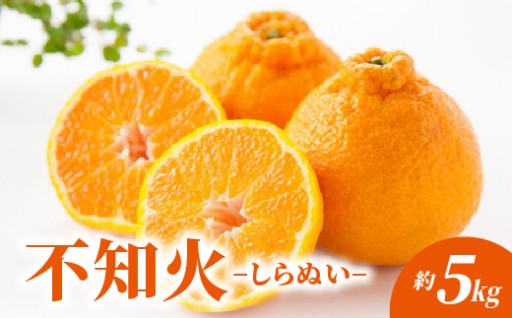 【今季発送 2月24日受付分まで】不知火 しらぬい 約5kg