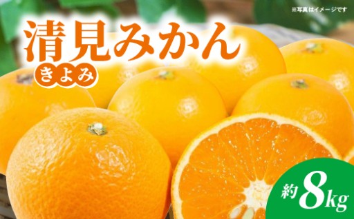【今季発送 2月28日受付分まで】清見（きよみ）みかん 約8kg