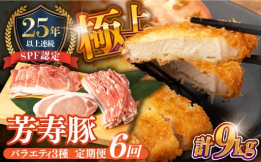 健康と美味しさを追求した【6回定期便】SPF豚 やっちゃおいしか芳寿豚バラエティセット