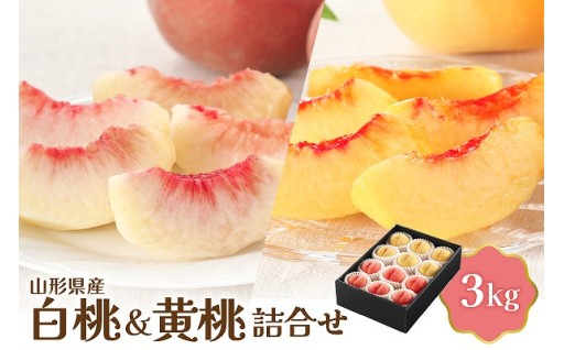🍑【令和8年産】白桃＆黄桃詰め合わせ 3kg 🍑