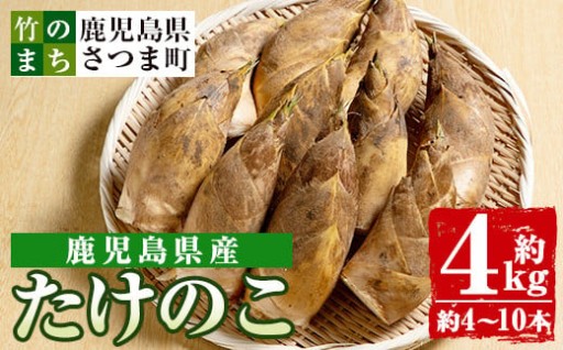 《先行予約受付中！2026年3月下旬より順次発送予定》鹿児島県産たけのこ(4kg・約4～10本)