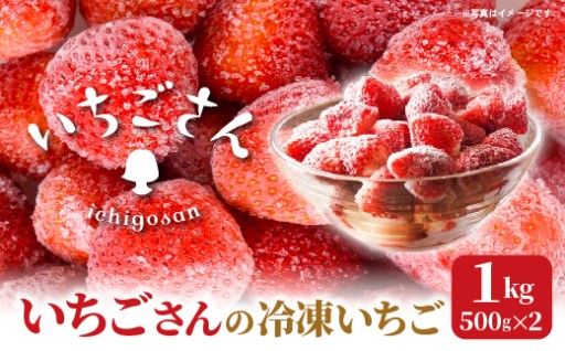 ＼新登場／冷凍いちご（いちごさん）1kg（500g×2）