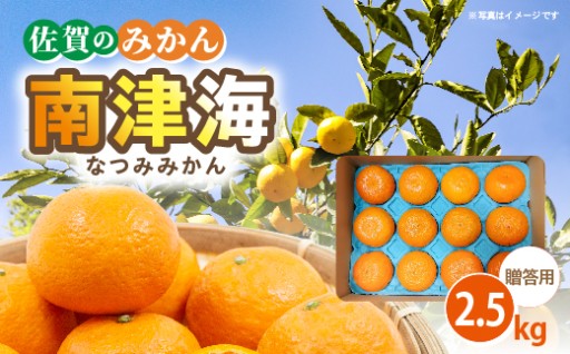 ＼新登場／【贈答向け】南津海（なつみ）みかん 2.5kg