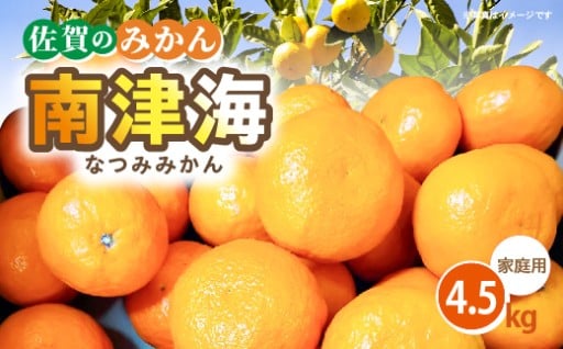 【今季発送 3月30日受付分まで】ご家庭用 南津海（なつみ）みかん 4.5kg