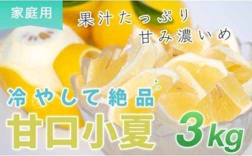 爽やかな初夏を感じる小夏、先行受付開始！