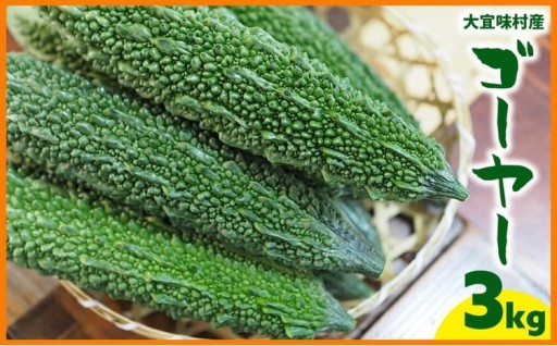 大宜味村産　ゴーヤー3kg以上 