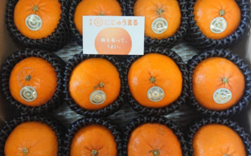 胸を張って、うまい！