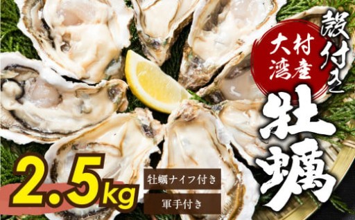 大村湾産 殻付き 牡蠣 加熱用 Aセット 約2.5kg ダイダイ2個付き ナイフ・軍手付き